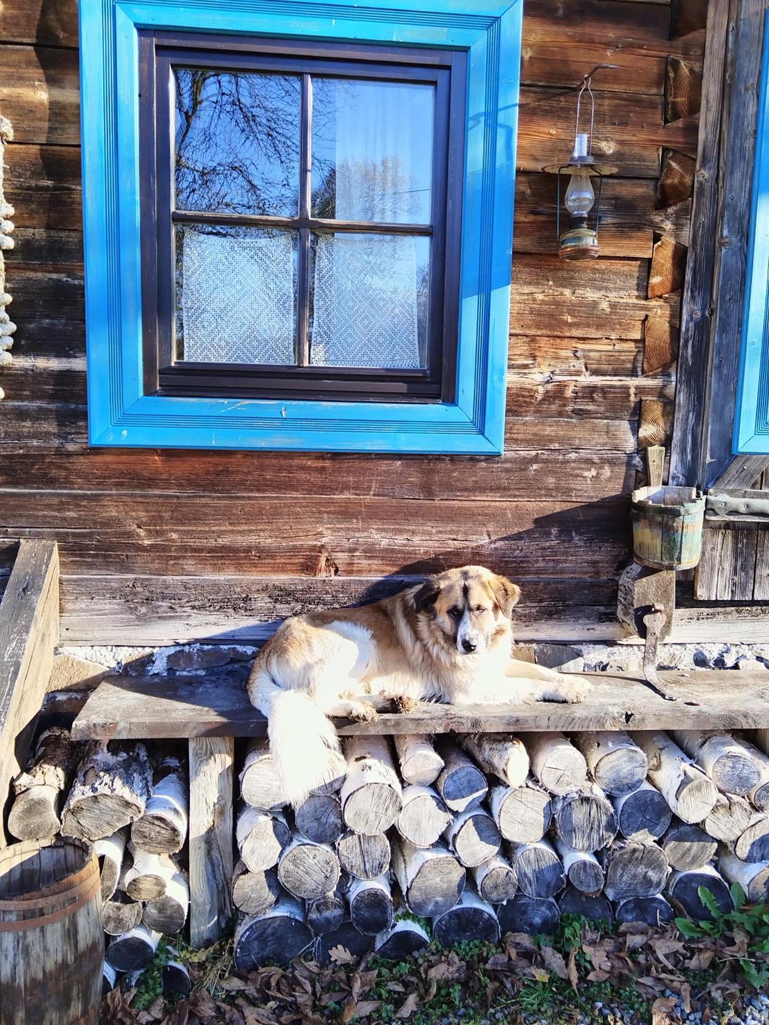 Small Apartment In Breb S Cosy Barn ห้อง รูปภาพ