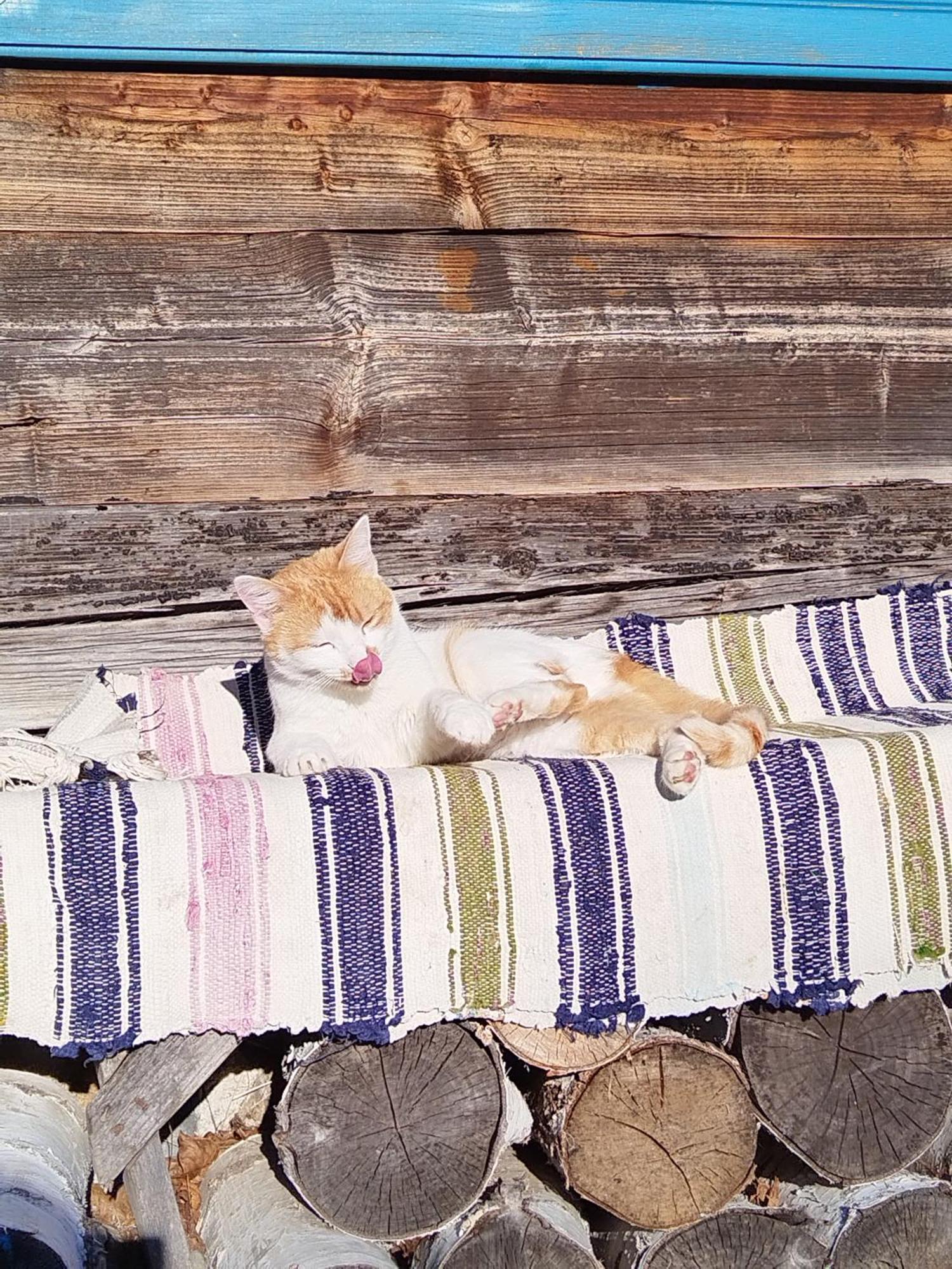 Small Apartment In Breb S Cosy Barn ห้อง รูปภาพ