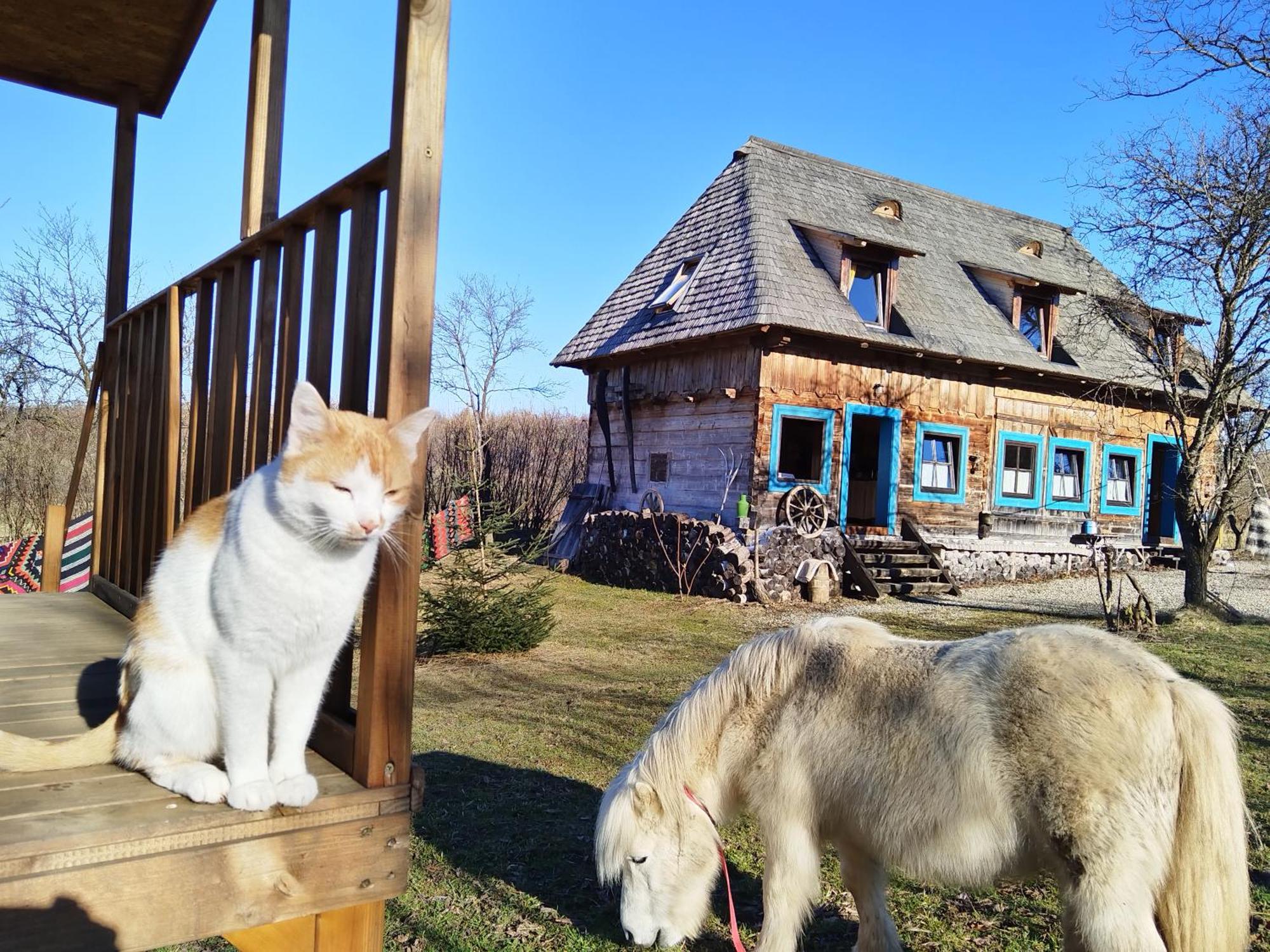 Small Apartment In Breb S Cosy Barn ห้อง รูปภาพ